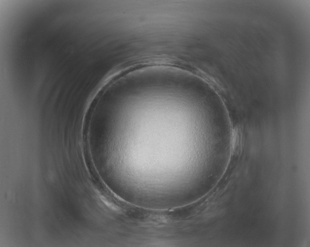 X0000082950195200702081658