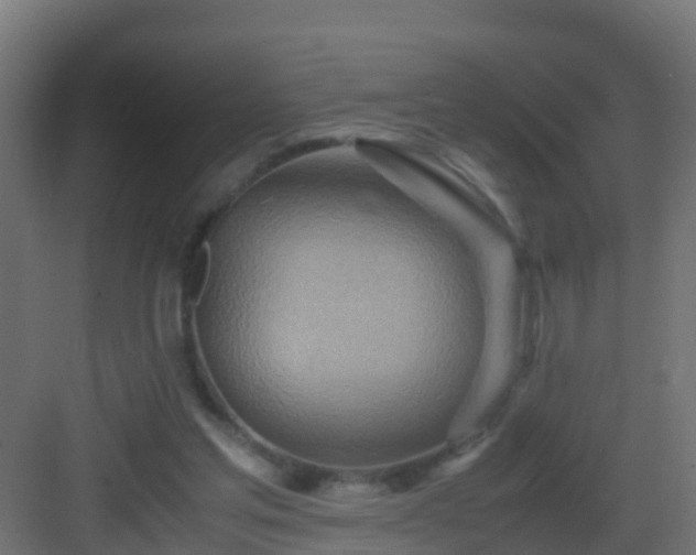 X0000082950205200702081658