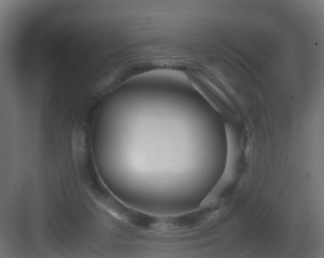 X0000082950211200702081658