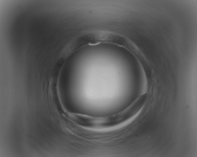 X0000082950217200702081658
