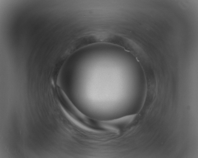 X0000082950221200702081658