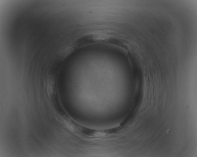 X0000082950227200702081658