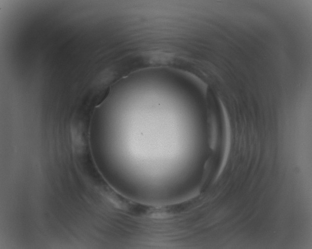 X0000082950228200702081658