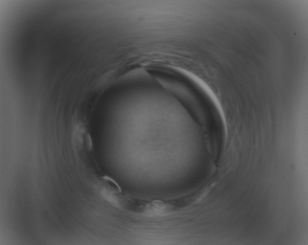 X0000082950235200702081658