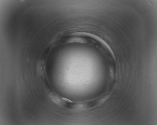 X0000082950237200702081657