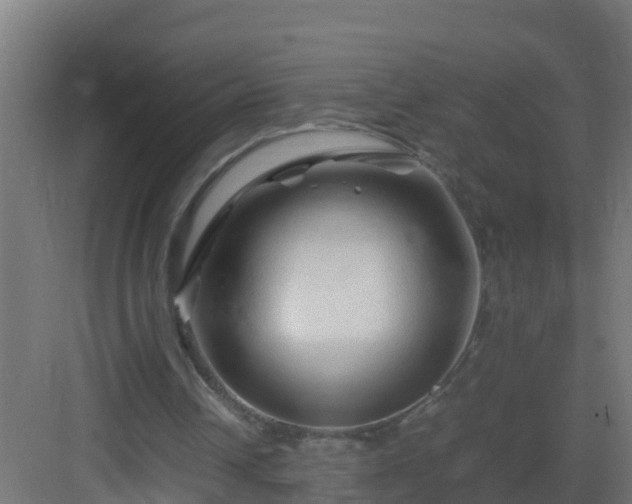 X0000082950242200702081657
