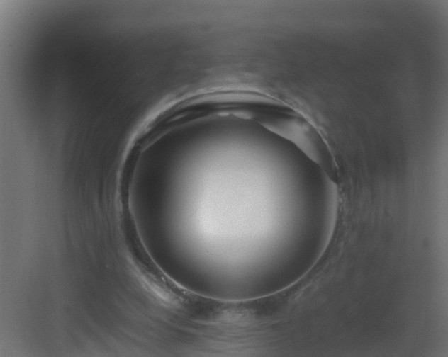 X0000082950248200702081657