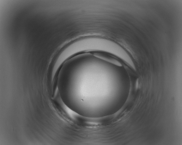 X0000082950252200702081657