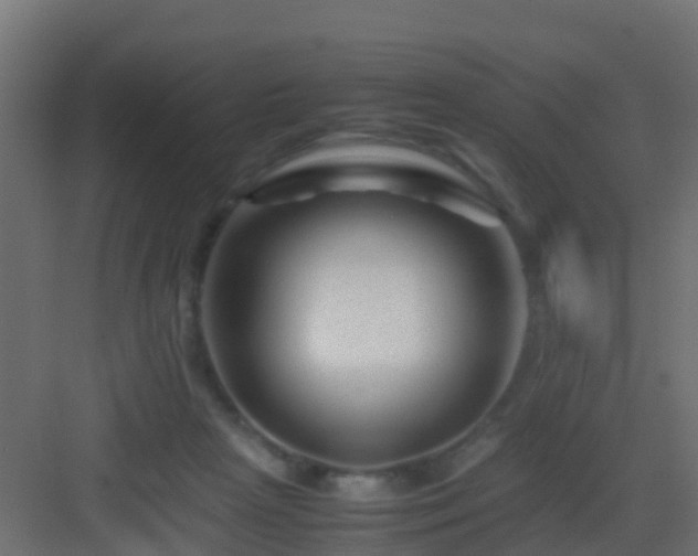 X0000082950265200702081657