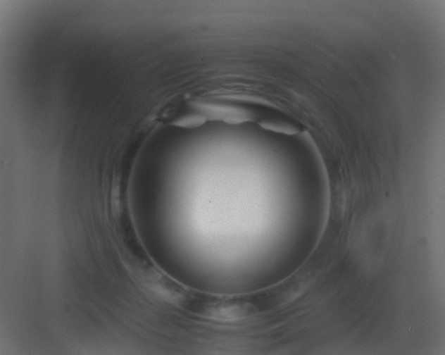 X0000082950267200702081657