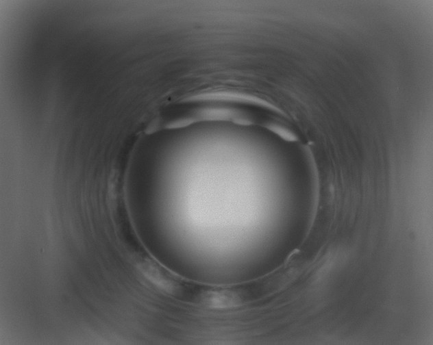 X0000082950275200702081657