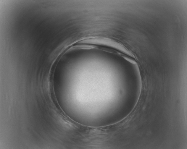 X0000082950290200702081657
