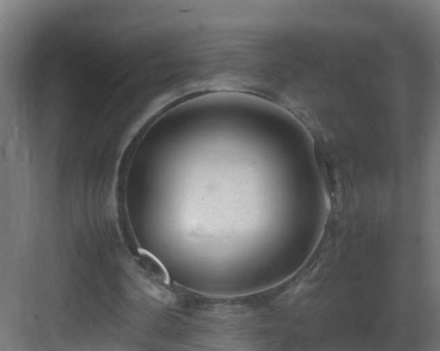 X0000082950292200702081657