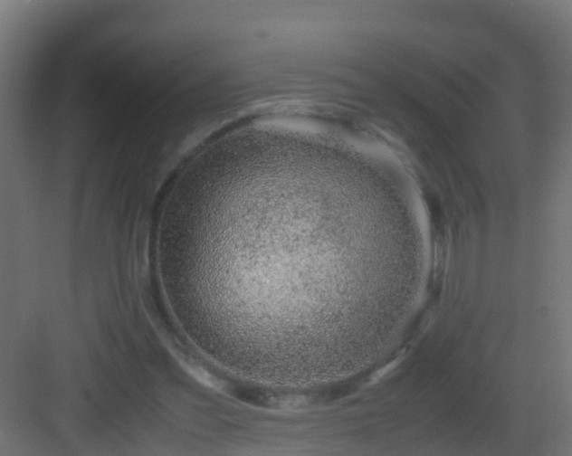X0000082950301200702081656