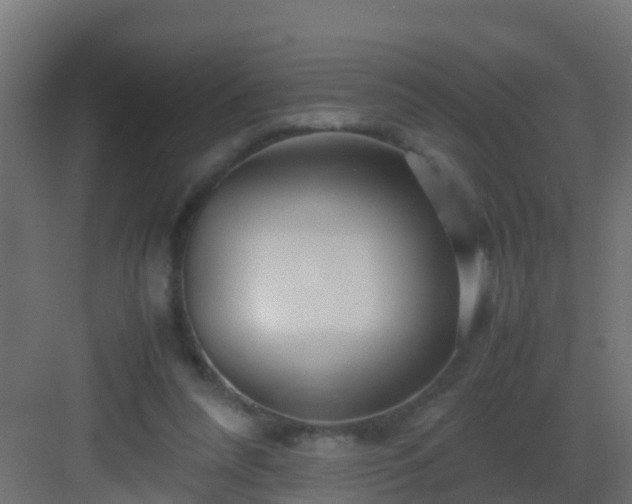 X0000082950304200702081656
