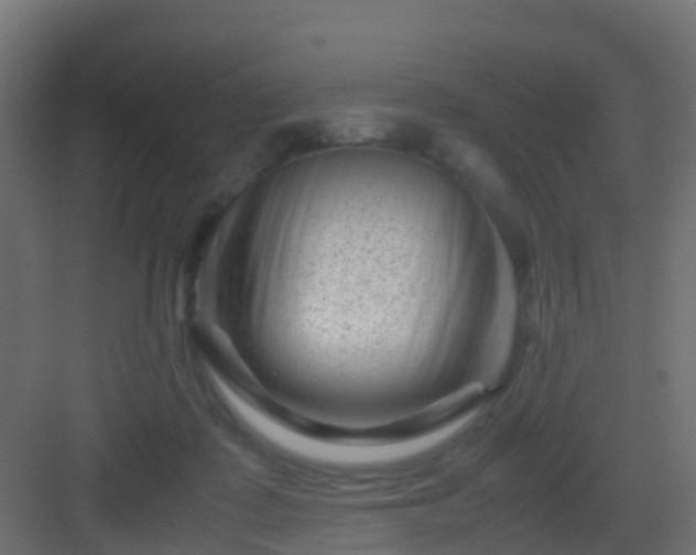 X0000082950315200702081656