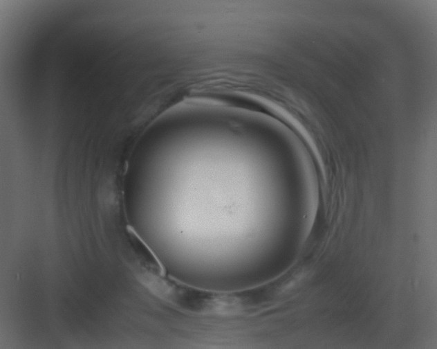 X0000082950317200702081656