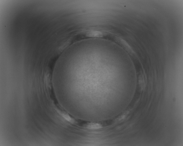 X0000082950322200702081656