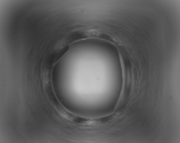 X0000082950323200702081656
