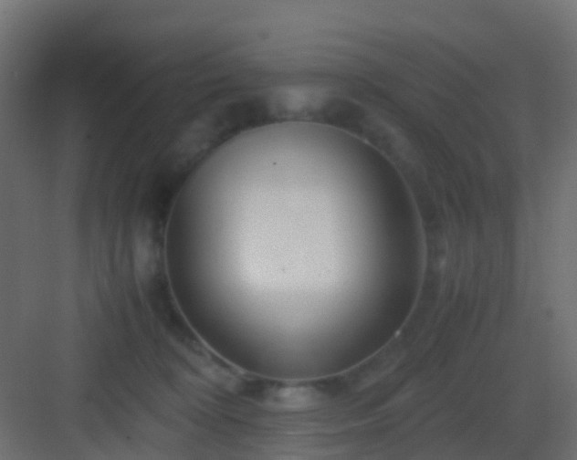 X0000082950324200702081656