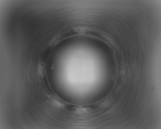 X0000082950332200702081656