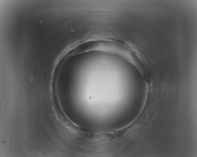 X0000082950340200702081655