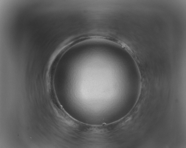 X0000082950343200702081655