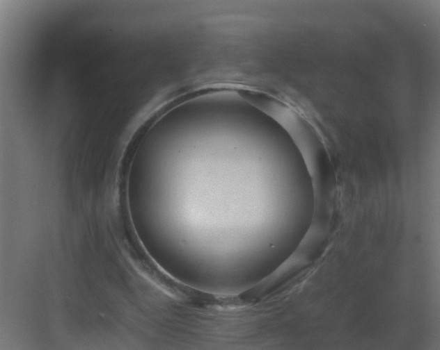 X0000082950344200702081655