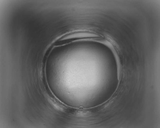X0000082950346200702081655