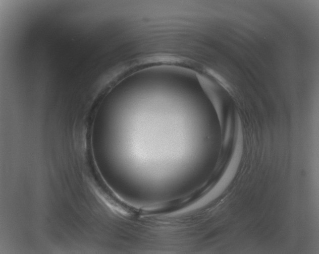 X0000082950350200702081655