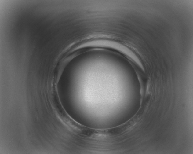 X0000082950352200702081655