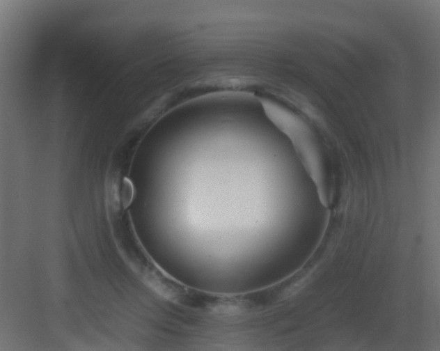 X0000082950358200702081655
