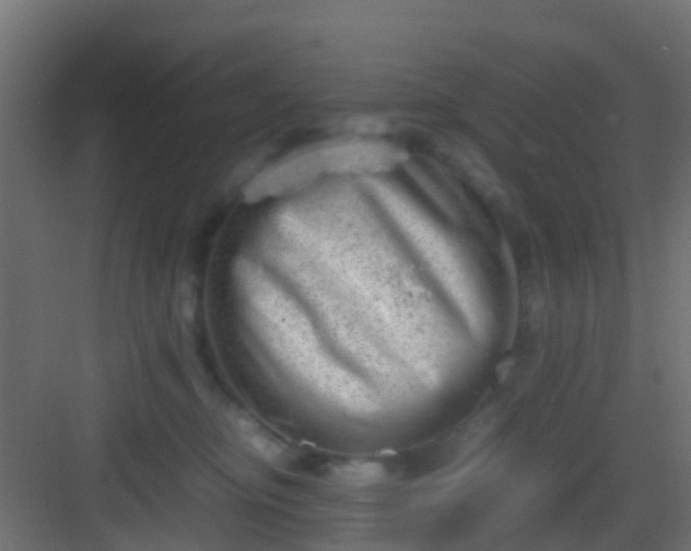 X0000082950374200702081656