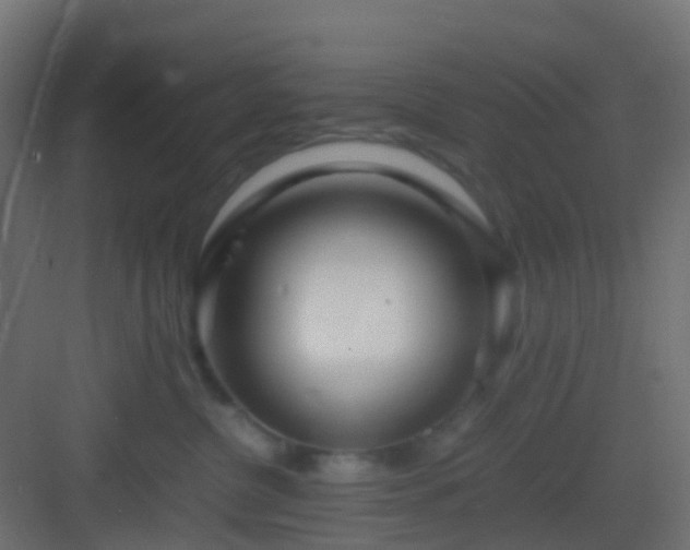 X0000082950380200702081656