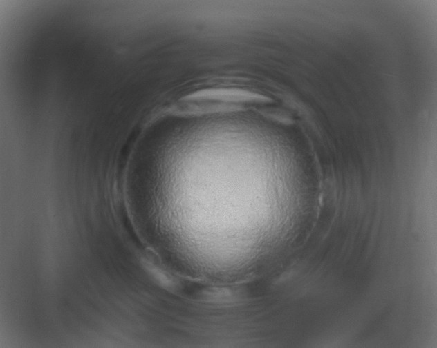 X0000082950381200702081656
