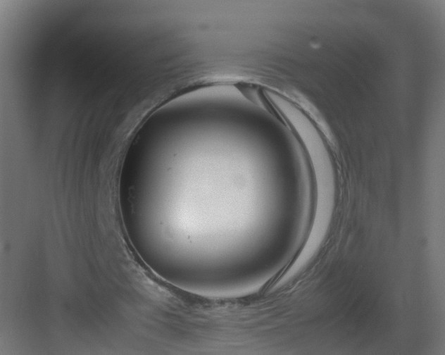 X0000082950385200702081655