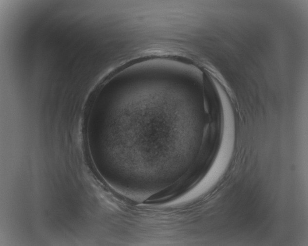 X0000082950387200702081655