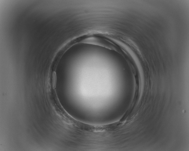 X0000082950388200702081655