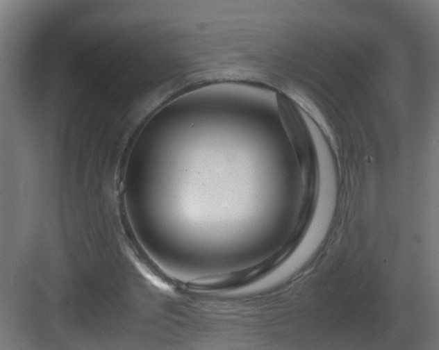 X0000082950389200702081655