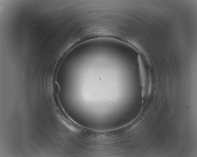 X0000082950390200702081655