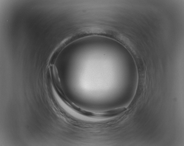 X0000082950395200702081655