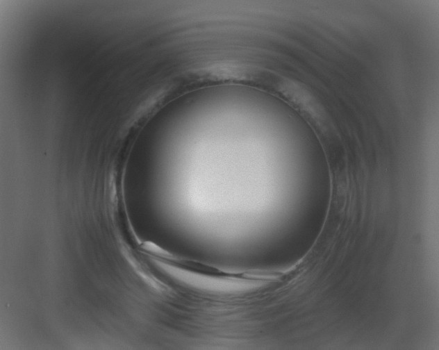 X0000082950398200702081655