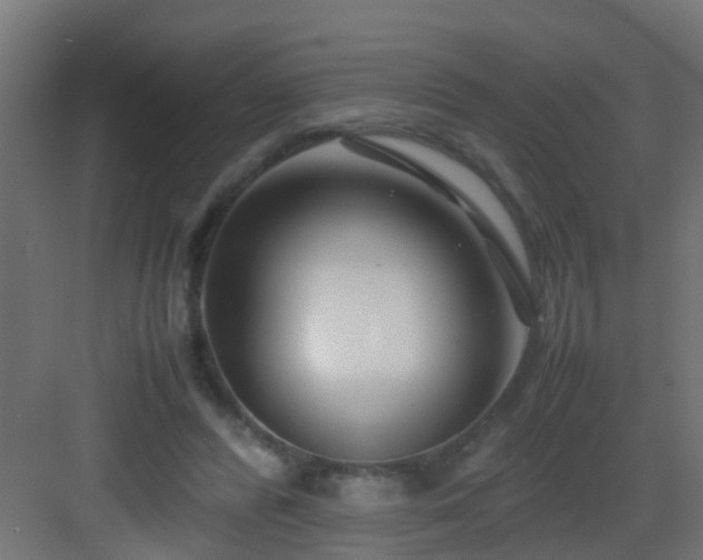 X0000082950400200702081655