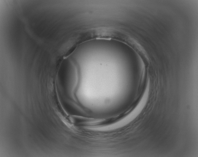 X0000082950401200702081655