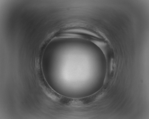 X0000082950403200702081655