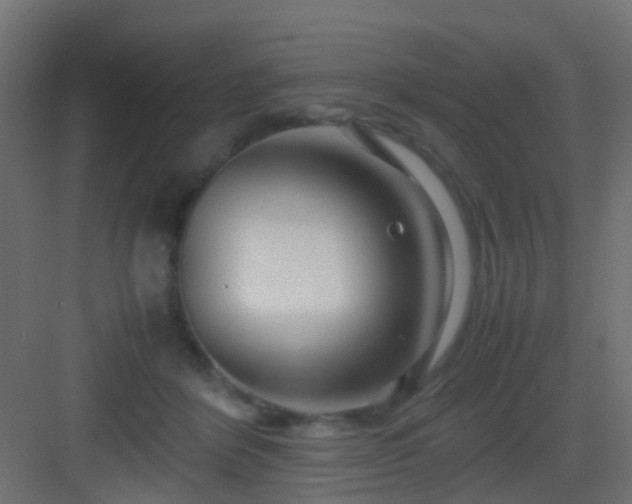 X0000082950412200702081655