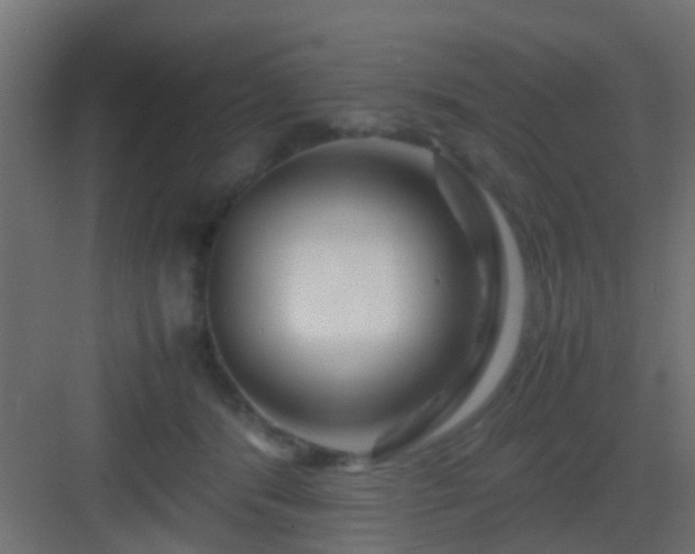 X0000082950416200702081654