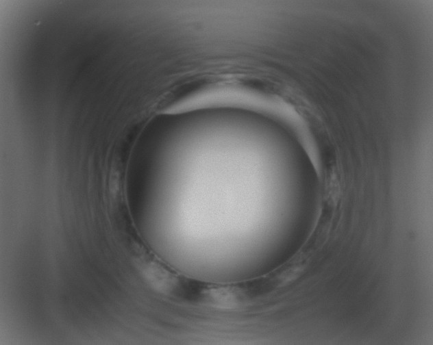 X0000082950417200702081654