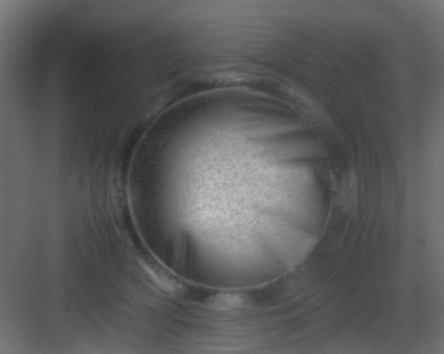 X0000082950418200702081654