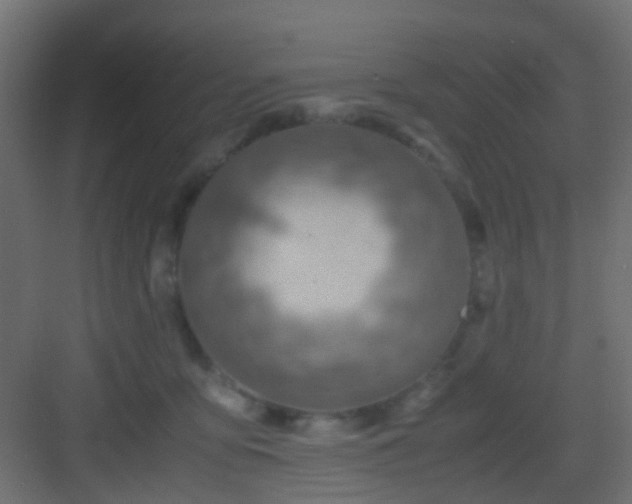 X0000082950419200702081654